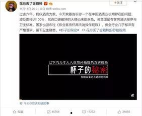 官方博主爆料视频下载,视频下载背后的秘密与技巧 第2张 官方博主爆料视频下载,视频下载背后的秘密与技巧 第2张